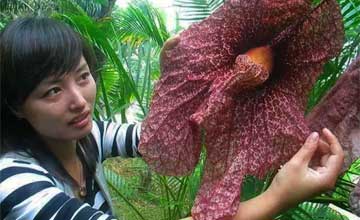 谁的新欢不是别人的前任?  张翰公开新恋情 评论一水儿喊他追回前任郑爽