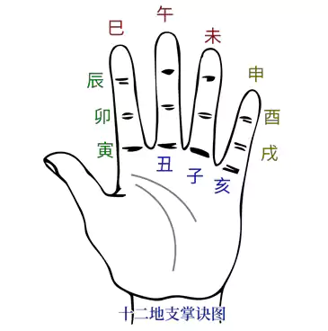 第二章风水基础 第四节指掌速算法-十二地支掌