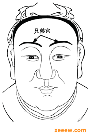 面相十二宫--兄弟宫《麻衣相法》面相十二宫图文详解大全