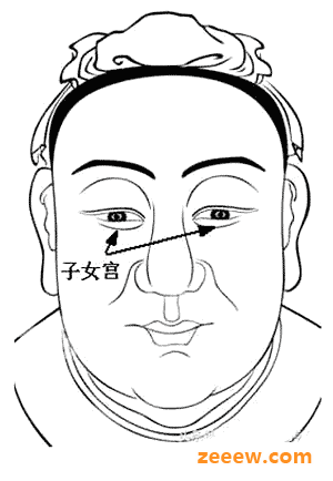 子女宫