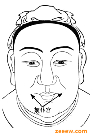 《麻衣相法》面相十二宫图文详解大全