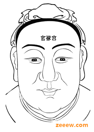 《麻衣相法》面相十二宫图文详解大全