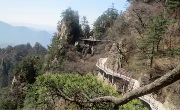 《野马》将前腿举成闪电  吼出一声雷