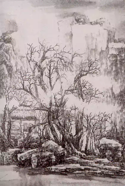 光环中有陷阱 文/画 张伟平 光环中有陷阱 文/画 张伟平