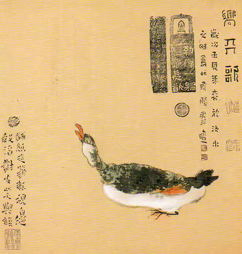 一只鹅无聊了抬起头向天叫几声-美其曰：向开歌