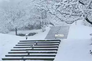 《风雪夜醉过伊河桥》诗 连天劲雪折寒树