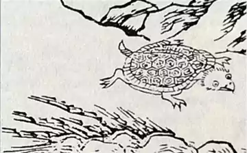 南山经-第一卷-南山经中的第一列山系2-白话山海经