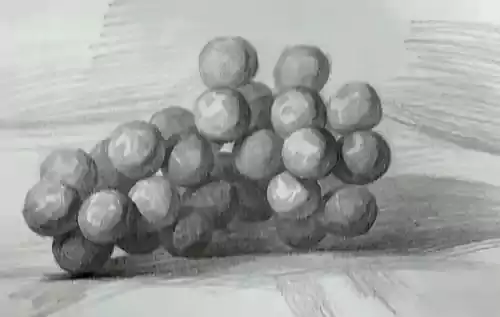 静物=葡萄-画一串葡萄要注意整串葡萄的体积不能单独刻画单个的葡萄粒