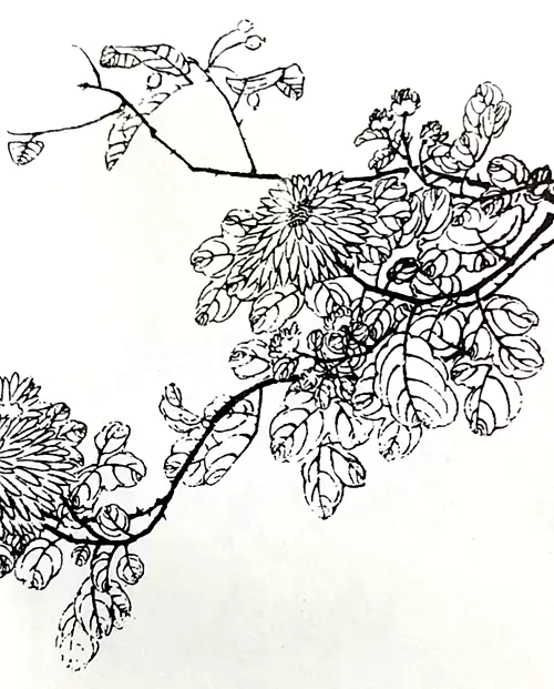 惟有溪边竹篱下 一丛柔菊正缠绵-