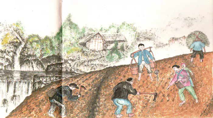 种小春 在南方 苞谷 谷子是主粮 麦子-往事入画