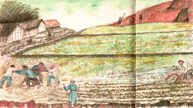 绳索牵引机耕大田 五十年代的西南农村-往事入画 绳索牵引机耕大田 五十年代的西南农村-往事入画