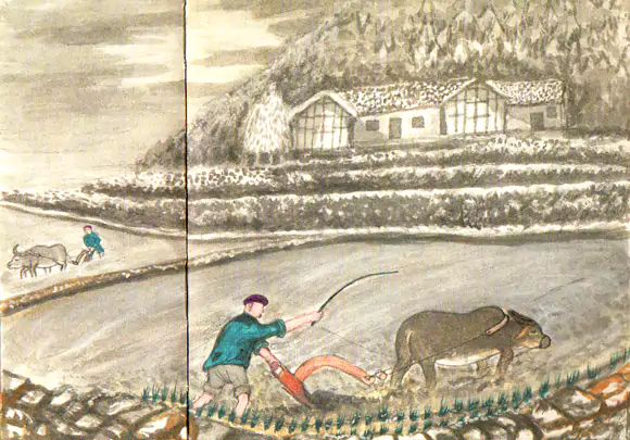 梨冬水田  八十年代以前-往事入画