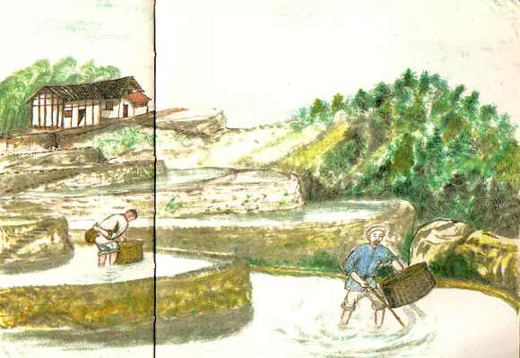 竹罩子捉鱼  几十年前 我们那里流行这样捉鱼-往事入画