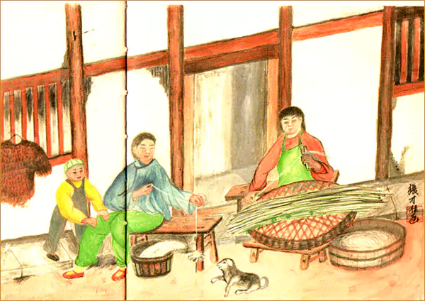 采苎麻转麻绳  苎麻的采收季节是农历四月-往事入画