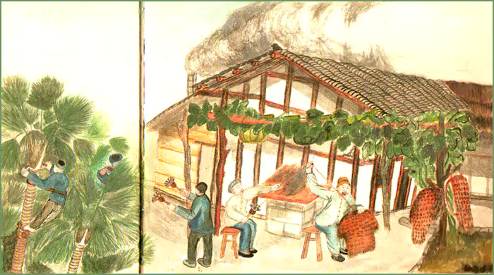 做蓑衣  五六十年代 我常常看到棕匠割棕做蓑衣-往事入画