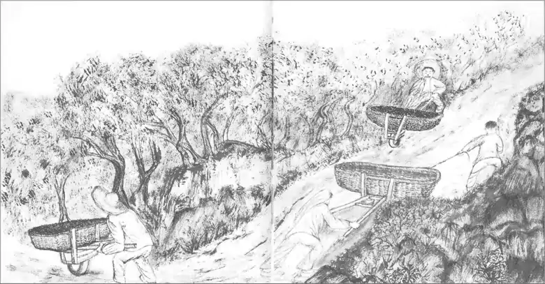 鸡公车运煤  重庆人把独轮车叫鸡公车-往事入画