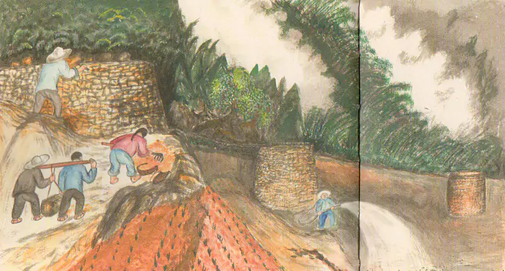 山边修喷灌池  七十年代 我们在山边修了很多喷灌池-往事入画