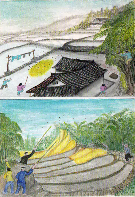 男女老少吆麻雀  五十年代后期 农村的麻雀很多-往事入画