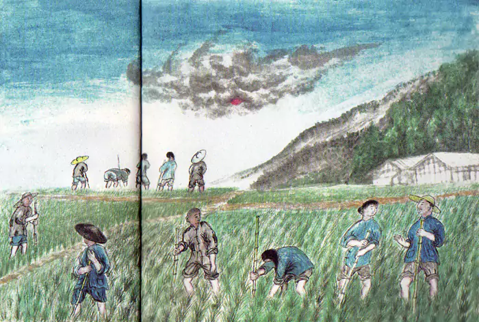 大田薅秧啰哎 从前水稻的秧苗长到一尺左右时-往事入画 大田薅秧啰哎 从前水稻的秧苗长到一尺左右时-往事入画
