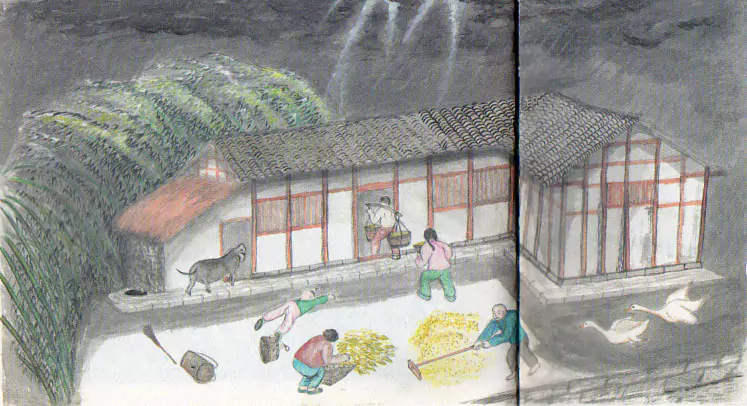 晒粮最怕偏东雨  我们这里习惯把夏天里很大又很-往事入画