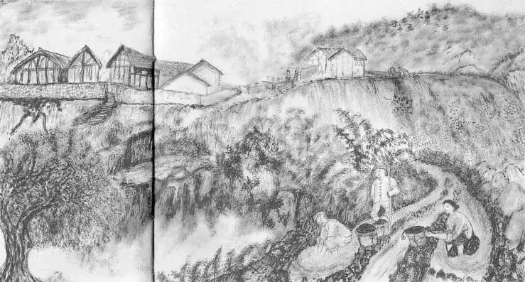 淘野煤炭 野煤炭就是从炼焦场漏出来的碎煤-往事入画 淘野煤炭 野煤炭就是从炼焦场漏出来的碎煤-往事入画