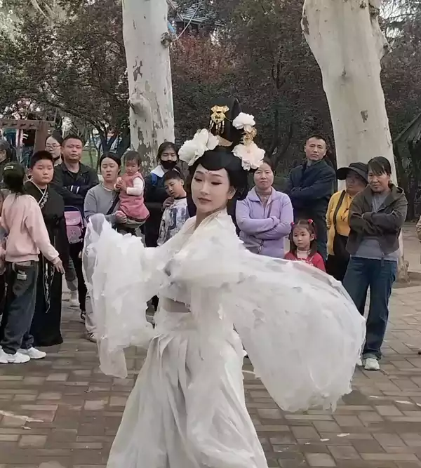 牡丹之温柔揉在我心里-第41届洛阳牡丹花会文章之一