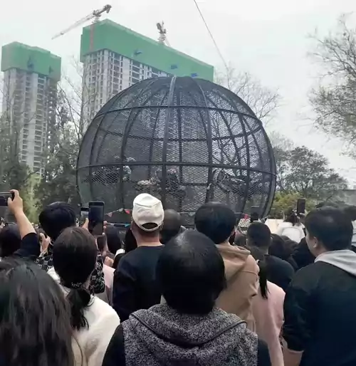 洛阳第41届牡丹花会 洛阳王城公园里公益技艺表演惊心动魄的一幕