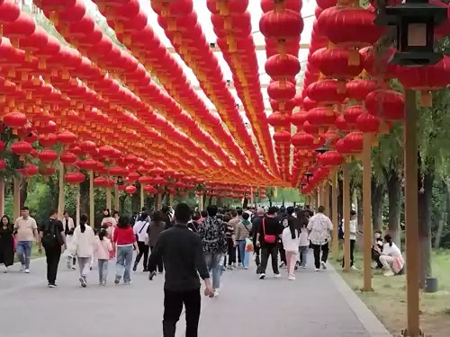 五一旅游热潮席卷全国，民众热衷于探索自然与文化的魅力日渐增长