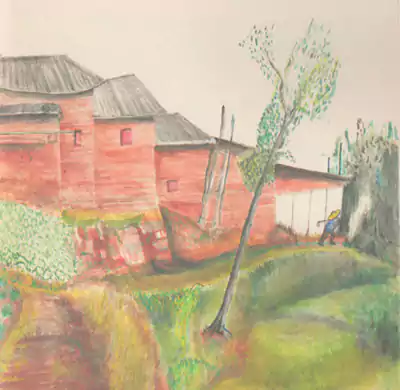 我在中嘴出生-中嘴的老屋是一座三合院-往事入画