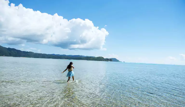 她叫莉莉 一个生活在内陆城市的平凡女孩 莉莉总是被大海的壮美所吸引