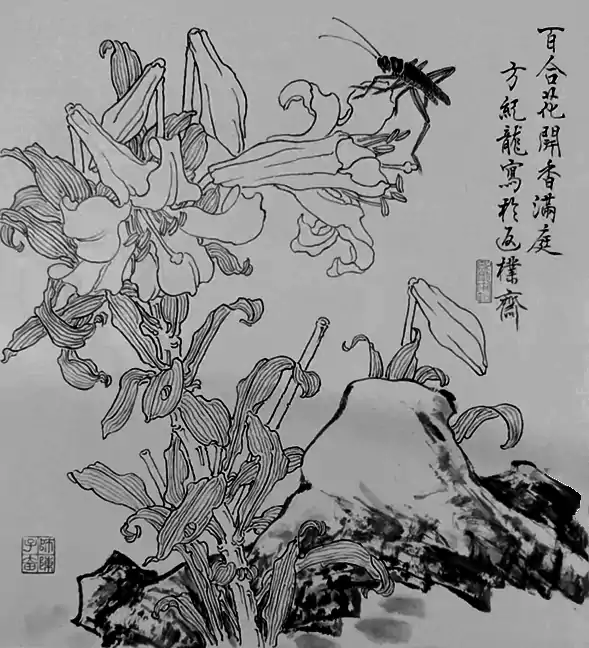 百合花开香满庭-画法步骤 步骤一 用细兼毫笔在生宣上勾百合花的花头和主茎