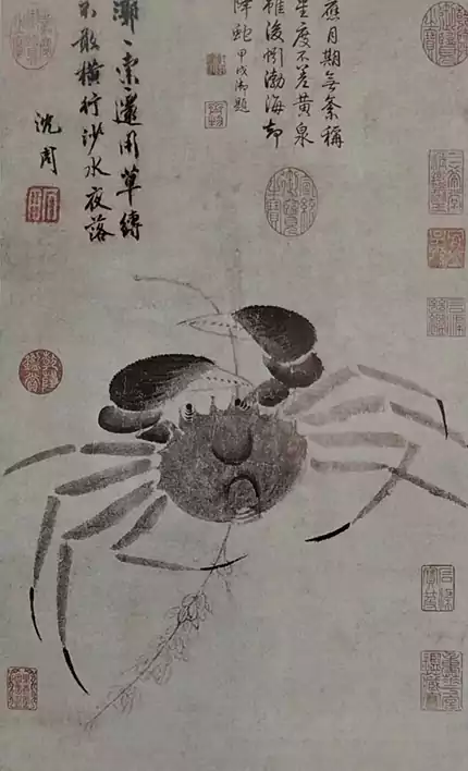 漷索图·沈周  螃蟹又名漷索 盖因蟹吐沫或横行时发出的“漷索漷索”之声也