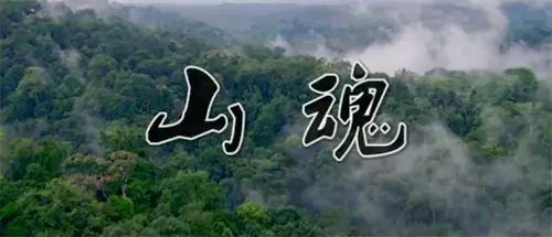 山魂-短篇小说- 选自《百花园》1997 年第2期 作者 曹多勇