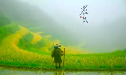 新诗诵韵《农民大哥》朗诵：王著坤 作者：李荫保 王著坤