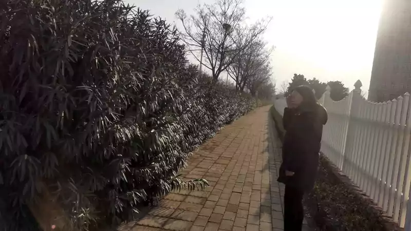这条由方砖铺出的路一直向前方延伸着 看不到尽头