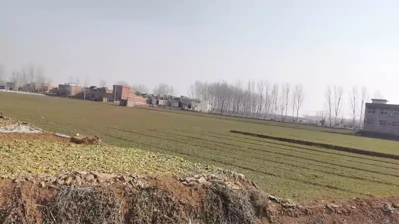 我和芦田一起去东大郊好像是第四次 这次拍了几张照片