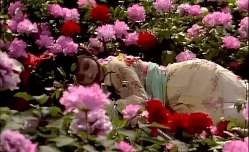 最美的画面 —— 史湘云醉卧芍药茵