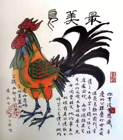 最美鸟 你有没有想过？身边的公鸡属于世上最漂亮鸟类的前列
