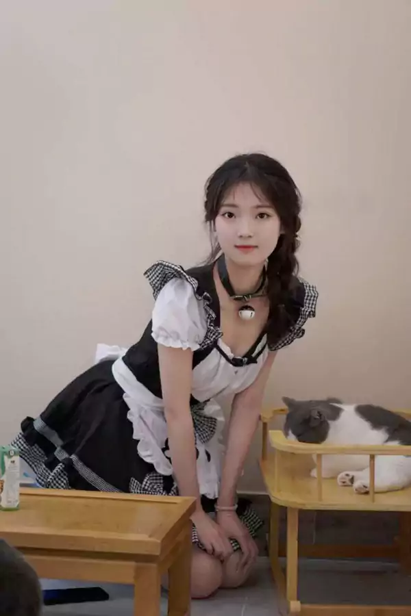 美丽的少女与猫-素袂依阶跪 明眸映矮几 围栏圈浅趣 狸奴戏落晖