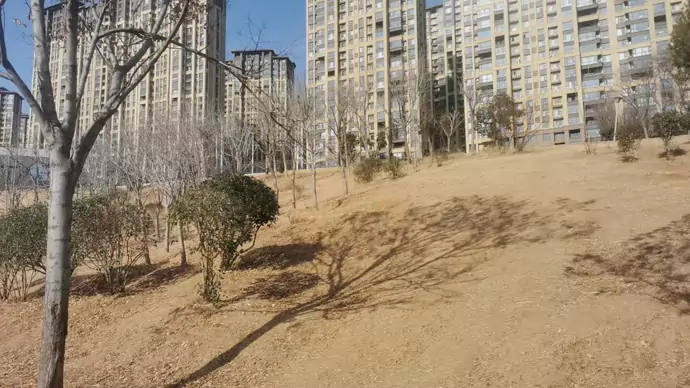 三九天 我和女友在日光里的土坡上玩