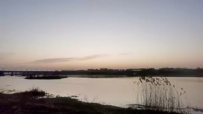 洛河晨曲：从黎明到日出