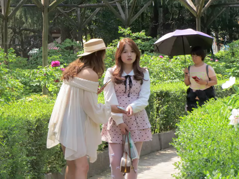 王城公园观美人赏花：春入王城花正繁 千枝艳蕊映雕栏