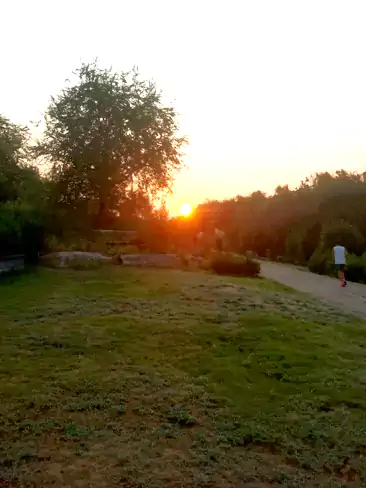 瀍河晨晓：朝阳沉在林梢 把浅橙铺向瀍河的岸 草叶静卧