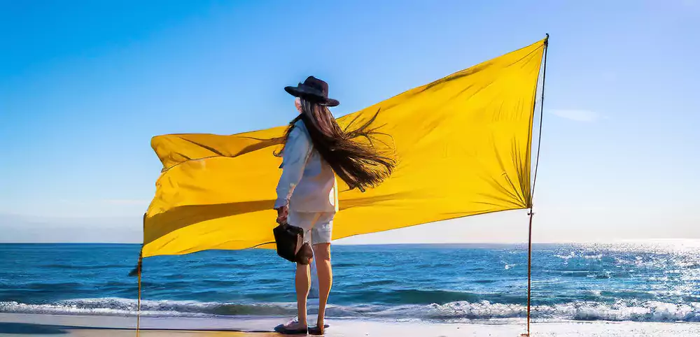 五律四首·秋日雨后初晴的洛阳东大郊